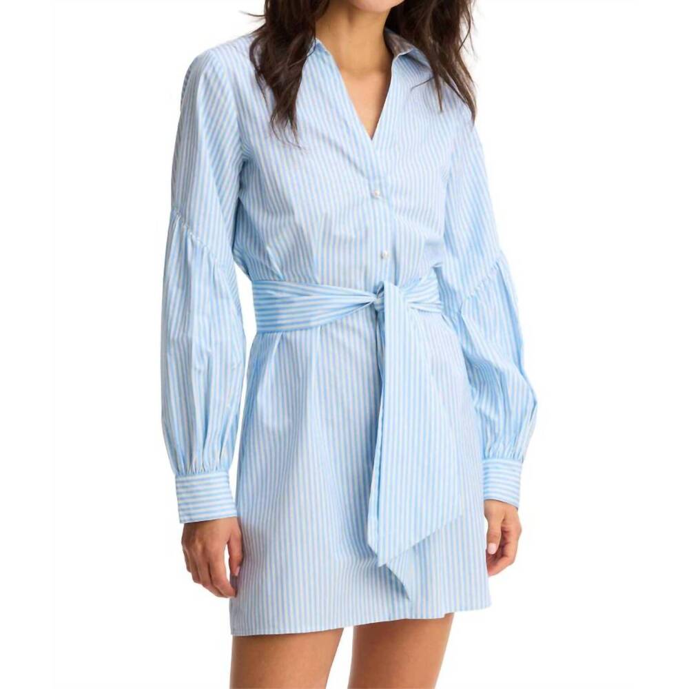 NEW ALLISON NEW YORK women's crisp cotton pinstripe dress in blue